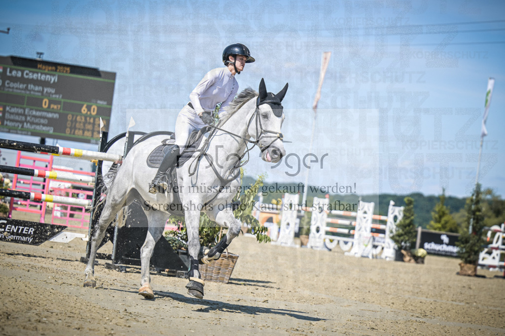 DOS_2863 | Entdecke hochwertige Reitturnierfotos von Foto Oger. Professionell, emotional und authentisch – jetzt Lieblingsmomente im Shop bestellen.Deutschlandweite Turnierfotografie. - Realisiert mit Pictrs.com