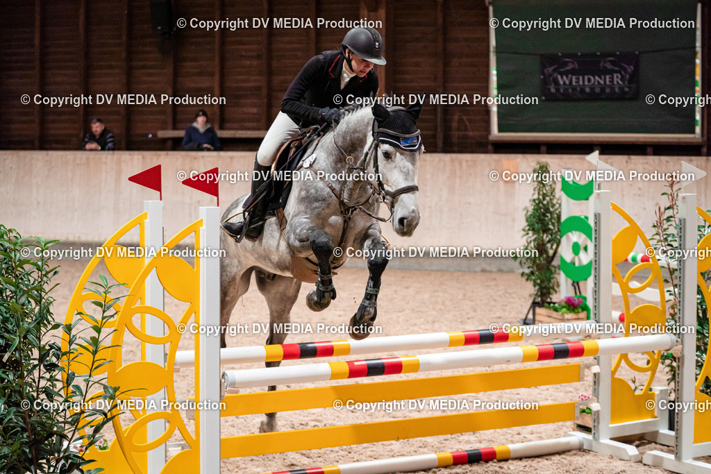 Springen Tag 1-100 | dv-media-shop - Realisiert mit Pictrs.com