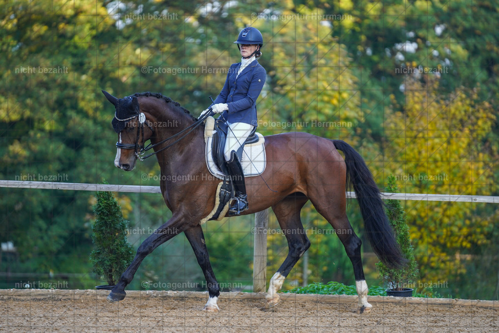 20221007-FAH00488 | Diessen am Ammersee, 2022, Dressur- und Springturnier, Reitsportbilder, Turnierfotografen Bayern, Pferdefotografen, Fotoagentur Herrmann, Turnierbilder