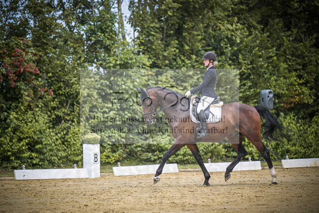 DOS_3536 | Entdecke hochwertige Reitturnierfotos von Foto Oger. Professionell, emotional und authentisch – jetzt Lieblingsmomente im Shop bestellen.Deutschlandweite Turnierfotografie. - Realisiert mit Pictrs.com
