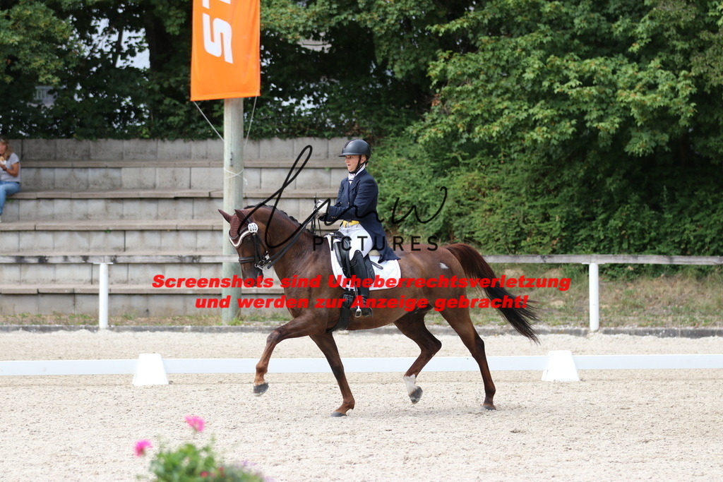 IMG_1771 | lmwpictures - Realisiert mit Pictrs.com