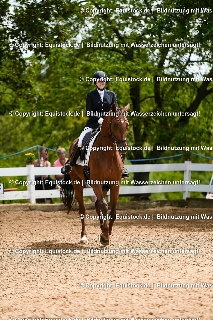 20230716_03_Dressurprfg. Kl.L - Tr._0399 | equistock
