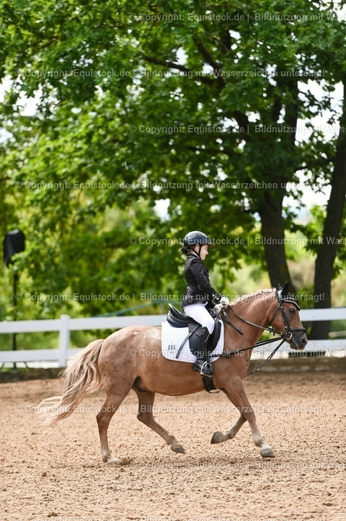 20230716_10-3_Reiter-WB Schritt - Trab - Galopp_0171 | equistock