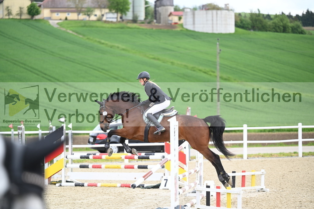 DSC_0685 | equestrian-live-com