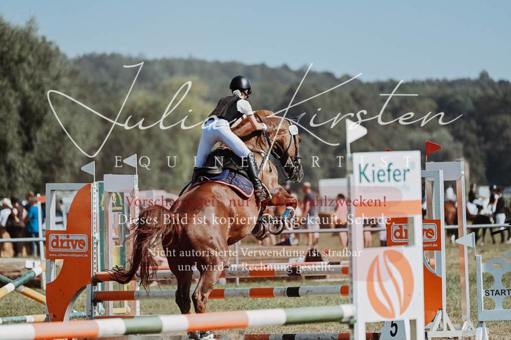 DSC_9464 | Pferde- und Turnierfotografie in Westsachsen. Pferdeportraits, Auftragszeichnungen und intuitive Kunst.
