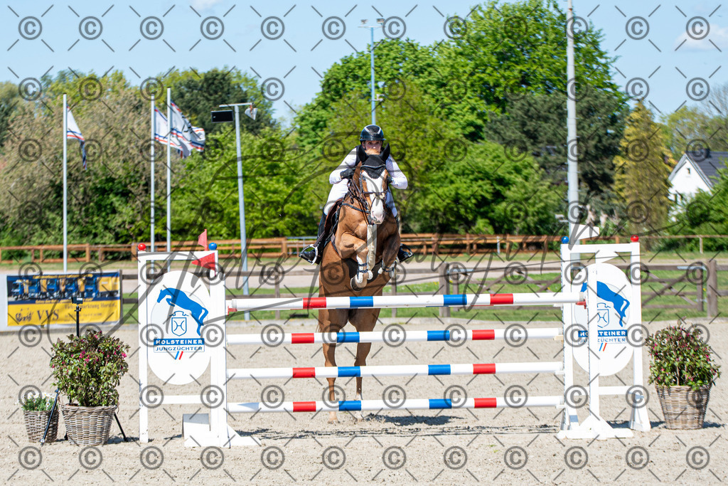 KPT_1178 | andre_photographic