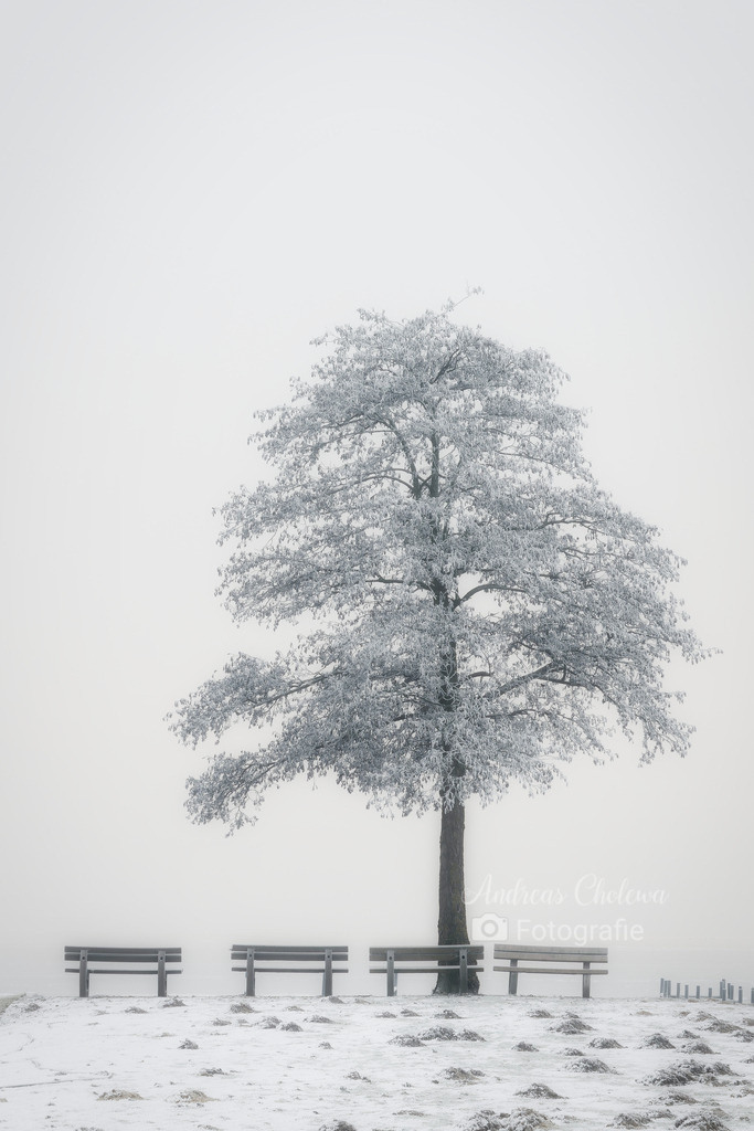 Frostiger Morgen  | Der Onlineshop für malerische Fotografien aus dem Landkreis Vechta✅ Premium Druck auf Leinwand✅ Acryl✅ oder Alu-Dibond✅➤Jetzt Bestellen! - Realisiert mit Pictrs.com