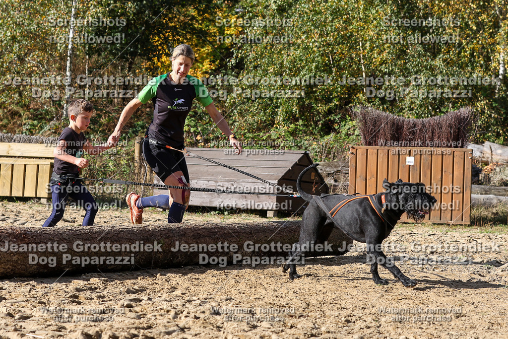 Dog Paparazzi - Strongdog 10-25-4900 | Dog Paparazzi Jeanette Grottendiek Fotografie & Videografie - Realisiert mit Pictrs.com