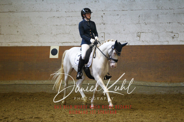 DKP44133 | Turniersportfotografie; Pferdefotografie; Dressurfotografie