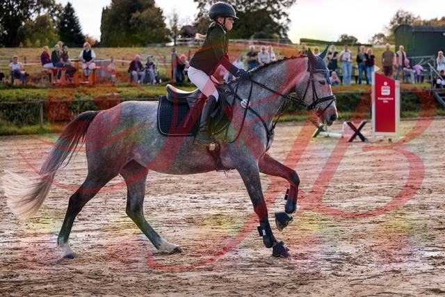 2026_10_03_Siefer-Hof_145055_Z81_29345011 | Professionelle Reitsport-, Turnier- und Eventfotografie von Robert Broda. Galerien mit ausgewählten und bearbeiteten Bildern direkt online ansehen und bestellen.