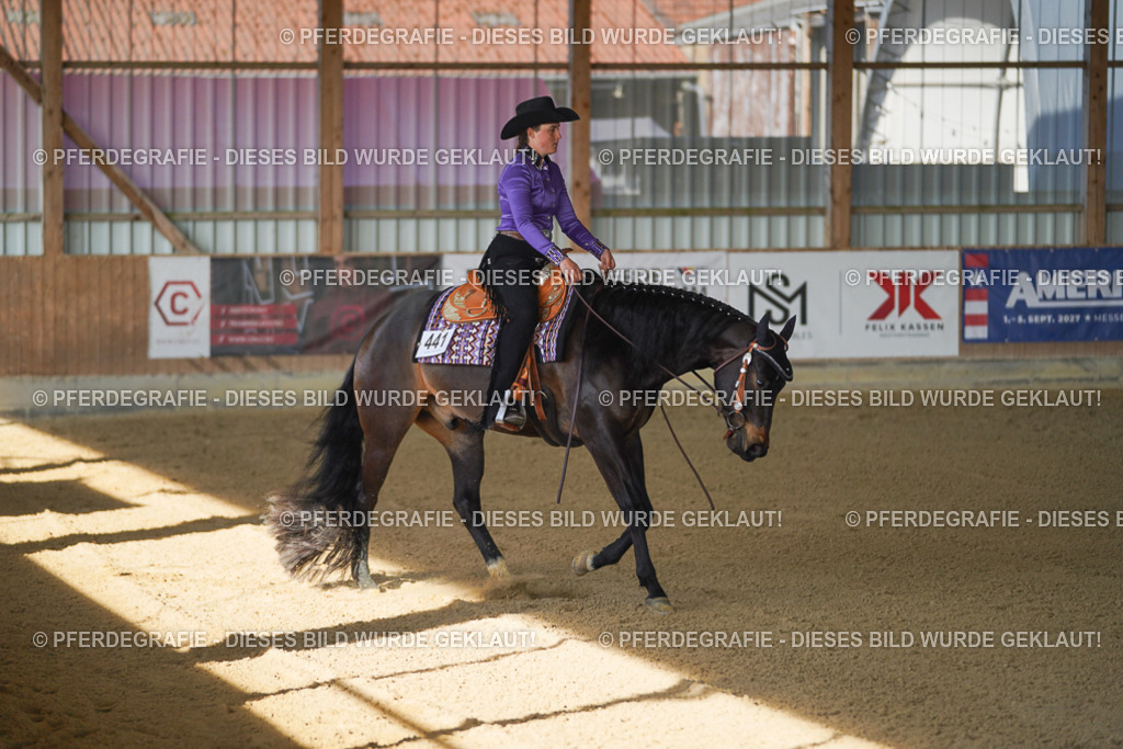 DSC09012 | Pferdegrafie