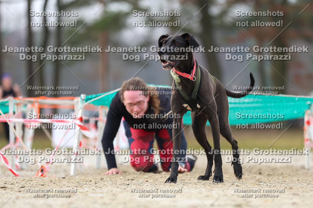 Dog Paparazzi - Strongdog North Mrz26-4091 | Dog Paparazzi Jeanette Grottendiek Fotografie & Videografie - Realisiert mit Pictrs.com