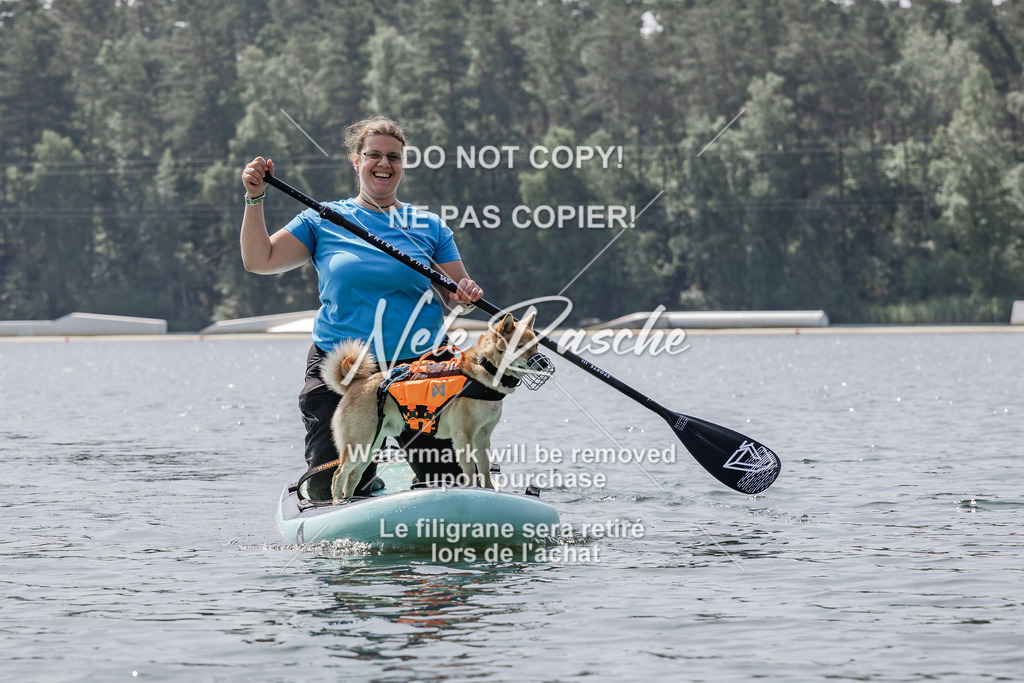 BUHU_SUP_632 | nelerasche