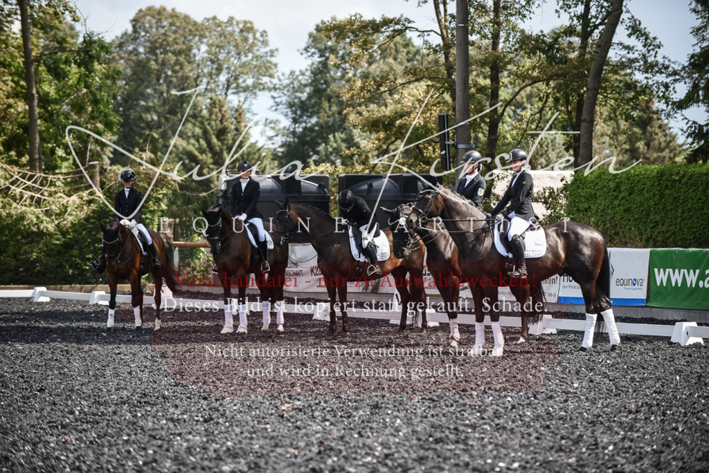 DSC_5124 | Pferde- und Turnierfotografie in Westsachsen. Pferdeportraits, Auftragszeichnungen und intuitive Kunst.