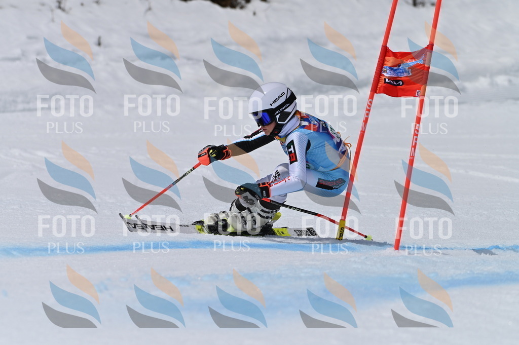 BGV_6207 | holidayphoto