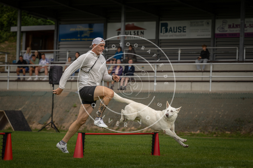 Pfotenfotografie_DV3A7681 | Hundefotografie, Tierfotograf, Pfotenfotografie, Fotoshooting Hund, Hunde Portrait, Hundesport, Hundeportraits, Heideshooting, Hunde, Sportfotograf, Hundefotograf, Turnierhundsport, THS,  - Realisiert mit Pictrs.com