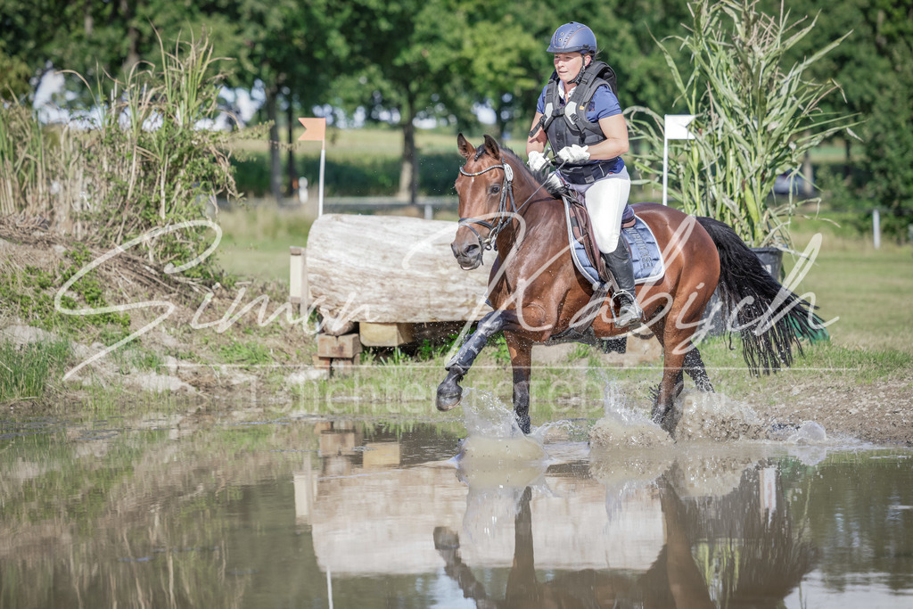 20250906-_3LI7172 | Tierfotografie Pferde, Hunde, Katzen, Haustiere.
Turnierfotografie Reitturniere, Reiten, Springreiten, Dressur in Hanau, dem Main-Kinzig-Kreis und dem Rhein-Main- Gebiet um Frankfurt