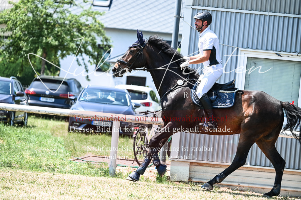 DSC_0320 | Pferde- und Turnierfotografie in Westsachsen. Pferdeportraits, Auftragszeichnungen und intuitive Kunst.