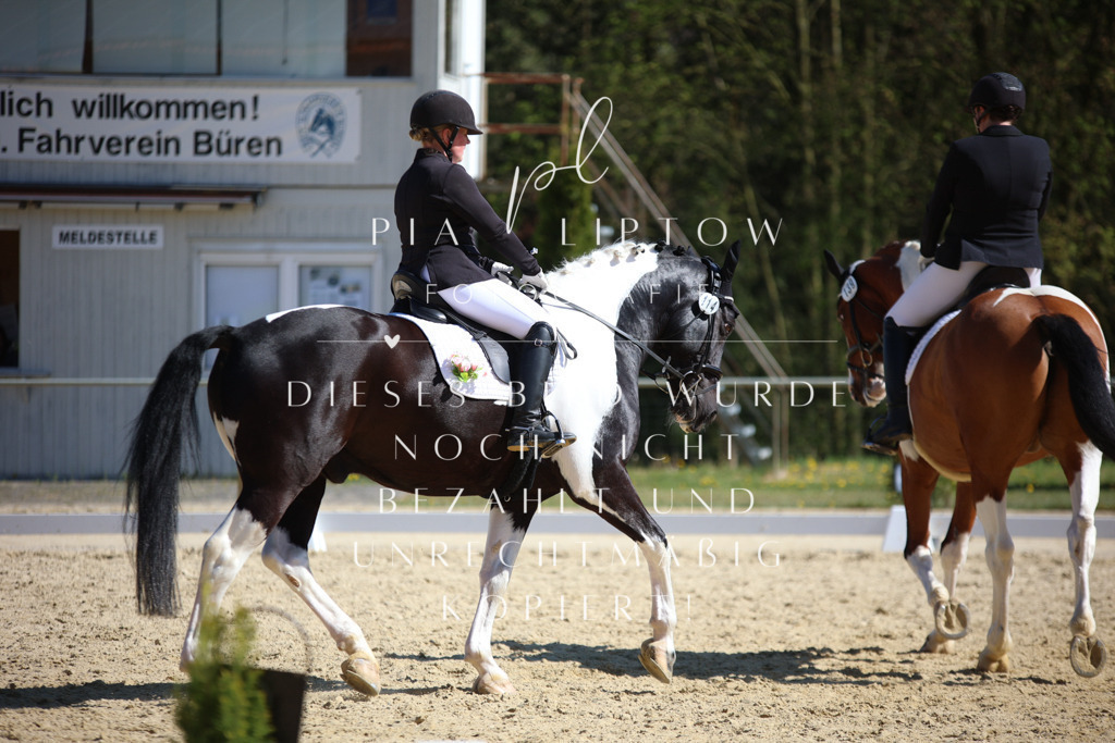 IMGT2179 | pl-fotografie