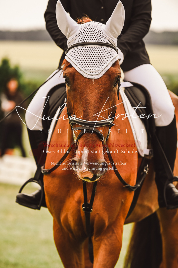 DSC_5040 | Pferde- und Turnierfotografie in Westsachsen. Pferdeportraits, Auftragszeichnungen und intuitive Kunst.