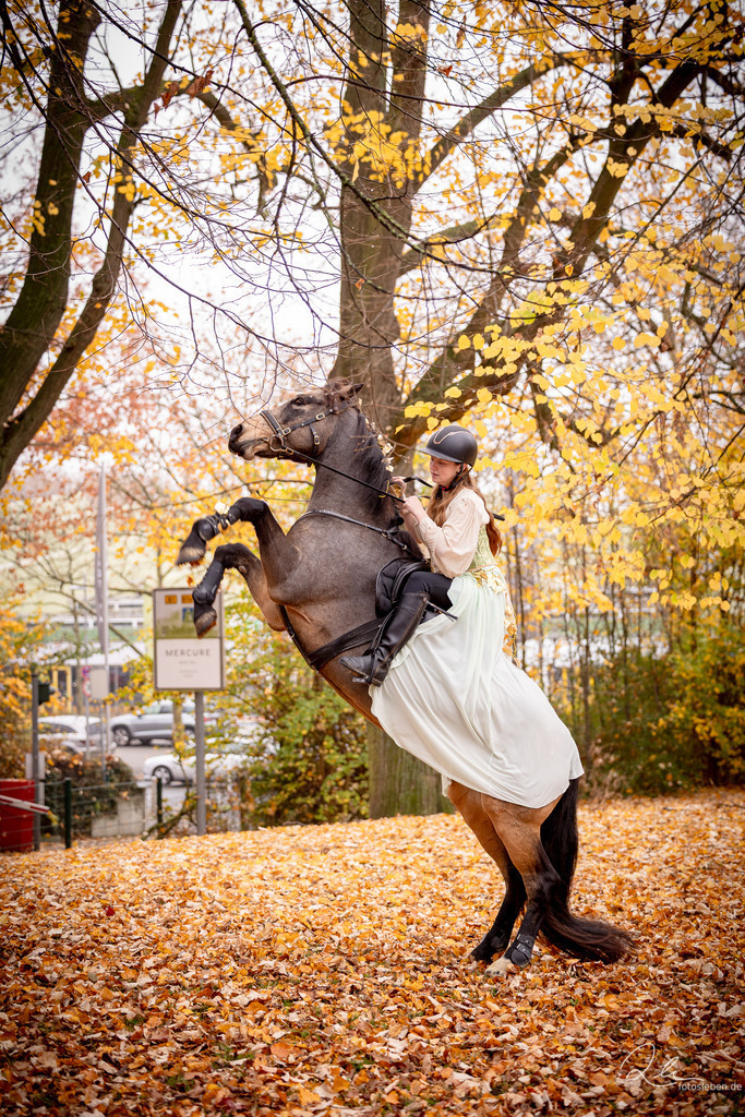 846A8874 | fotosleben - Realisiert mit Pictrs.com