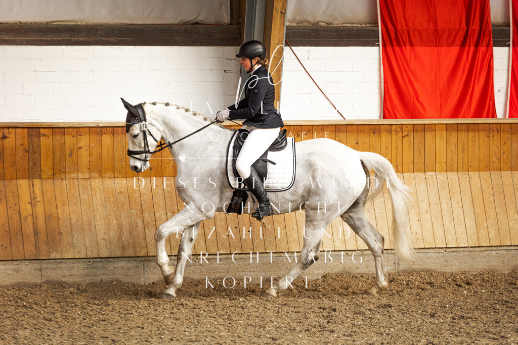 IMGT4558 | pl-fotografie