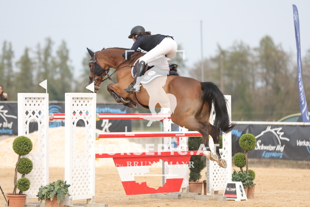 0P6A7100 | Willkommen bei Brunnmayr - Design & Fotografie – Ihrem Spezialisten für Reitturniere und Pferdeveranstaltungen in Oberösterreich, Salzburg und Bayern! Seit über 17 Jahren sind wir leidenschaftlich dabei.