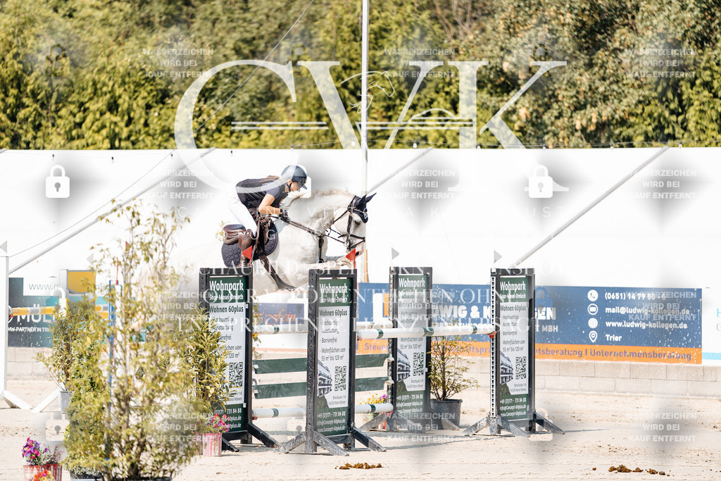 CK901415 | Turnierfotografie Pferdefotografie Trier Rheinland-Pfalz Pferdesport Reitsport Tierfotografie Sportfotografie Pferdevideo Pferdevideografie Equestrianvideography equestrianphotography  - Realisiert mit Pictrs.com