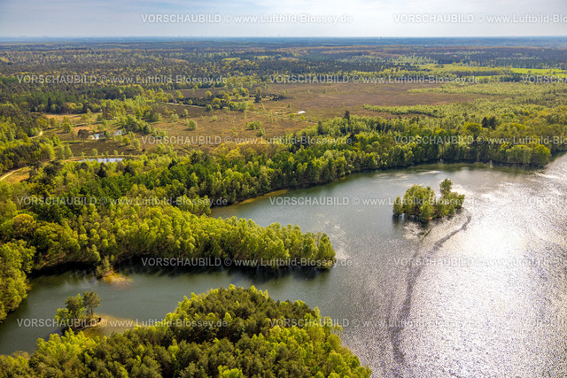 Brueggen240403218DiergartscherSeeSchwalm | Luftbild, Diergartscher See Naturschutzgebiet NSG Elmpter Schwalmbruch, Mischwald und Insel im See, Fernsicht, Auenlandschaft an der deutsch-niederländischen Grenze, Oebel, Brüggen, Niederrhein, Nordrhein-Westfalen, Deutschland
