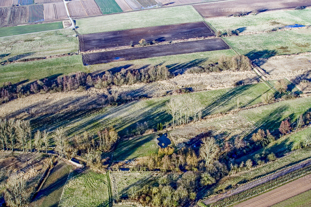 Luftbild: Biotop Billigheimer Bruch im Ortsteil Mühlhofen in Billigheim-Ingenheim im Bundesland Rheinland-Pfalz in Deutschland. Foto: IMG_9312.jpg vom 09.02.2008 durch Werner Riehm/FLY-FOTO.de