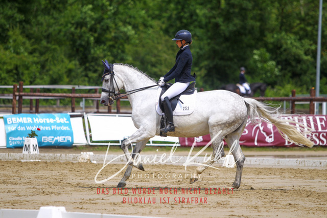 DKP40656 | Turniersportfotografie; Pferdefotografie; Dressurfotografie