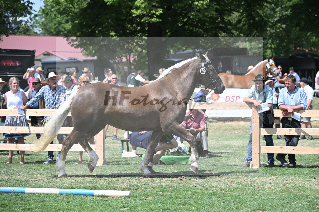 Kat-Nr. 62 Ophira_Steinle_20231019 | hf-fotografie - Realisiert mit Pictrs.com