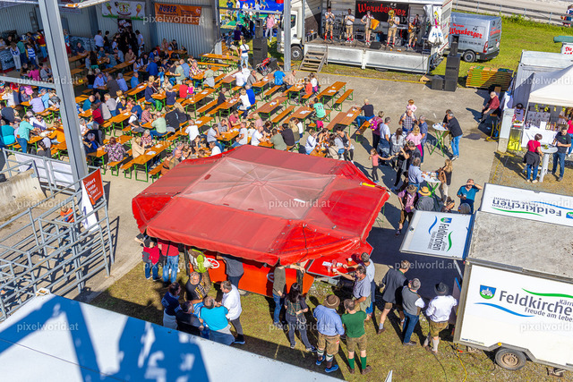 SchaZie Tag | Bildershop von pixelworld.at - Realisiert mit Pictrs.com