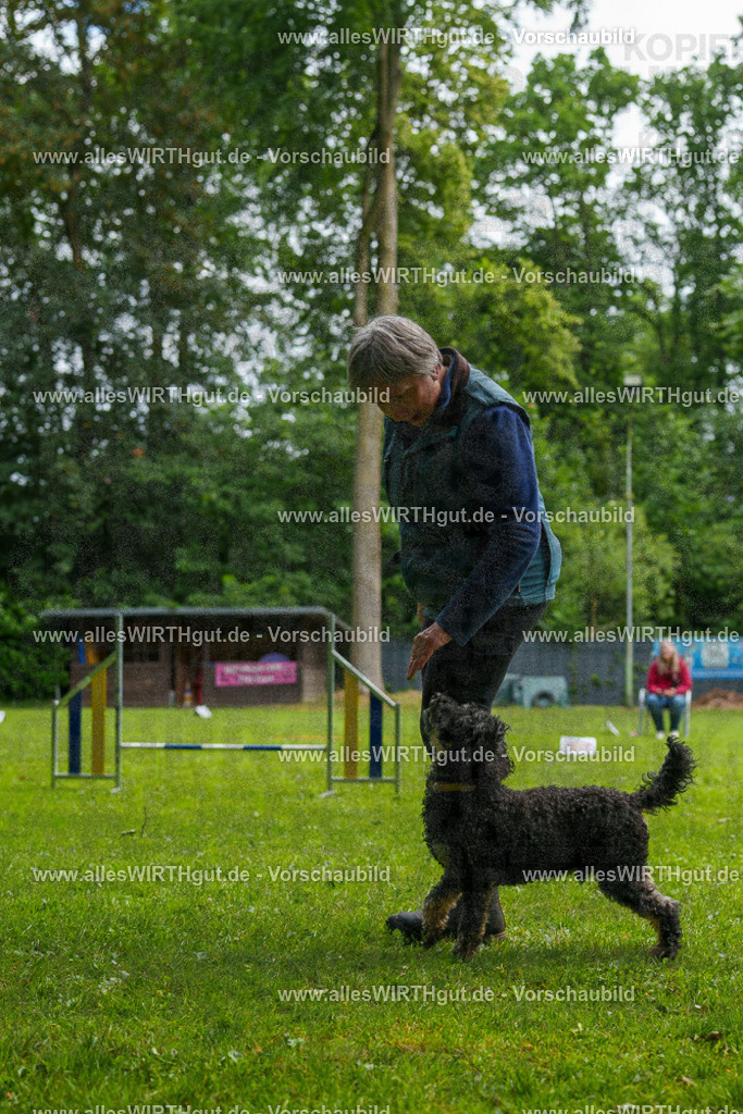 @allesWIRTHgut_Tierfotografie - www.allesWIRTHgut.de - 092811-7R507161 | Professionelle Tierfotografie in Mönchengladbach von Daniel Wirth (allesWIRTHgut). Liebevolle & natürliche Bilder von Hunden & Katzen für unvergessliche Erinnerungen.