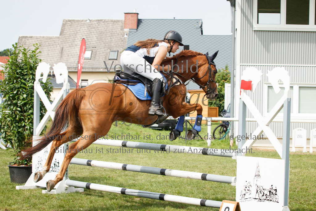 IMG_2916 | P. Berger Fotografie - Realisiert mit Pictrs.com