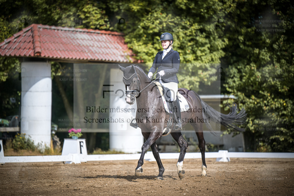 DOS_0309 | Entdecke hochwertige Reitturnierfotos von Foto Oger. Professionell, emotional und authentisch – jetzt Lieblingsmomente im Shop bestellen. - Realisiert mit Pictrs.com