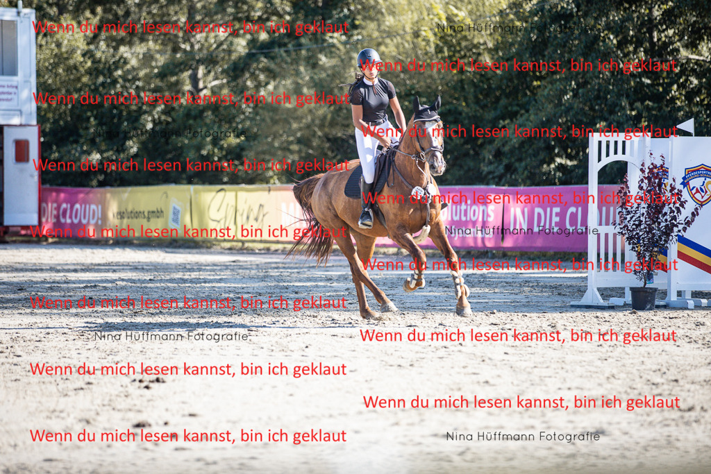 BK1A7327 | Turnierbilder Turnierfotos Nina Hüffmann Turnierfotografie Pferdefotografie Tierzeichnung Haustierzeichnung Pferdezeichnung Hundezeichnung Videograf  - Realisiert mit Pictrs.com