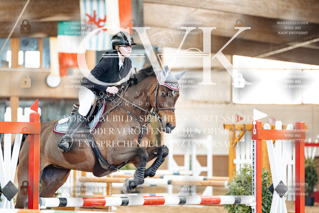 CK905235 | Turnierfotografie Pferdefotografie Trier Rheinland-Pfalz Pferdesport Reitsport Tierfotografie Sportfotografie Pferdevideo Pferdevideografie Equestrianvideography equestrianphotography  - Realized with Pictrs.com