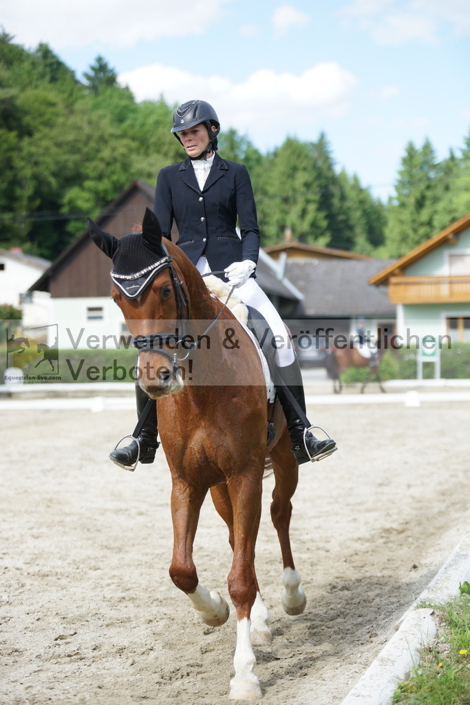 DSC05543 | equestrian-live-com