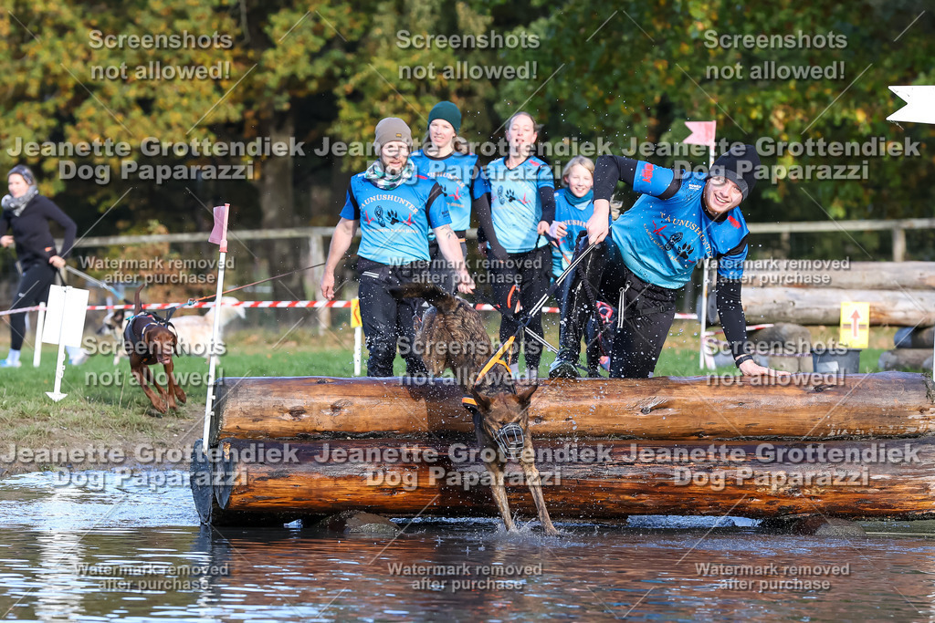 Dog Paparazzi - Strongdog 10-25-8575 | Dog Paparazzi Jeanette Grottendiek Fotografie & Videografie - Realisiert mit Pictrs.com