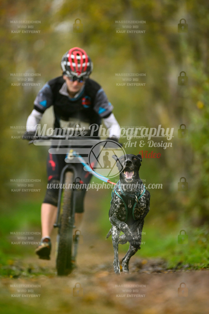 MompixPhotography_20TSB_E6_DS1-29 | PayLife