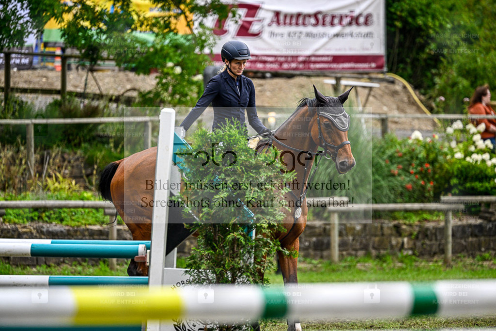 Bissendorfer Reitertage | Entdecke hochwertige Reitturnierfotos von Foto Oger. Professionell, emotional und authentisch – jetzt Lieblingsmomente im Shop bestellen. - Realisiert mit Pictrs.com