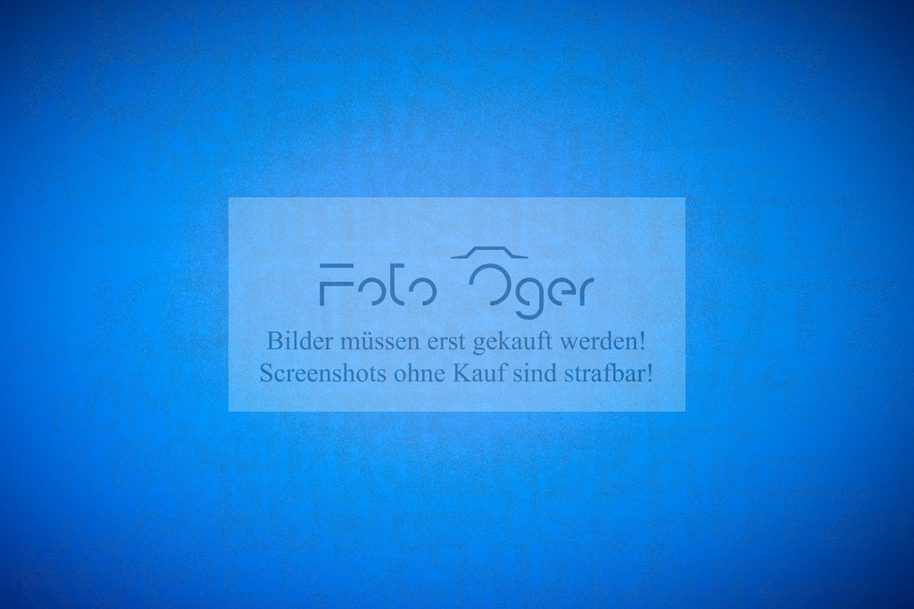 DOS_1058 | Entdecke hochwertige Reitturnierfotos von Foto Oger. Professionell, emotional und authentisch – jetzt Lieblingsmomente im Shop bestellen.Deutschlandweite Turnierfotografie. - Realisiert mit Pictrs.com