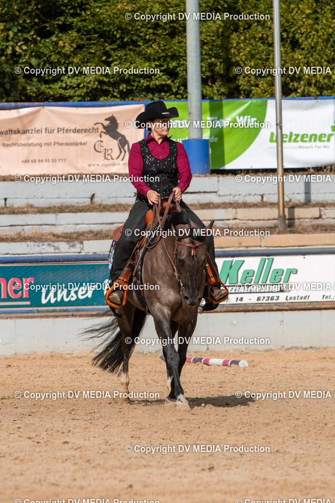 EWP_5817 | dv-media-shop - Realisiert mit Pictrs.com