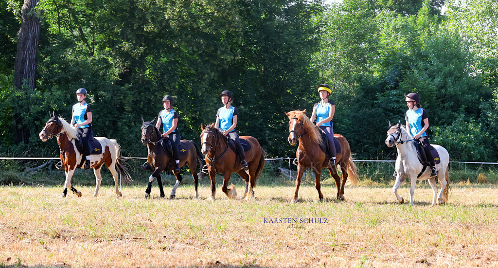 1B3A8371 | Reitsport Reiten