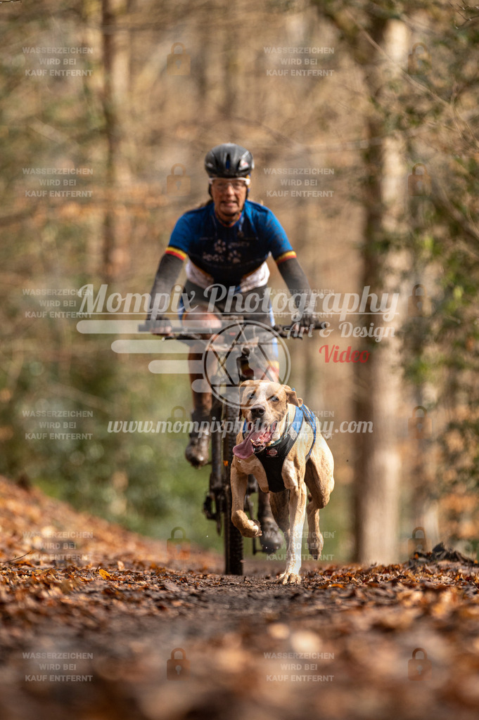 SPA_2023_DIM_Bike-63 | PayLife