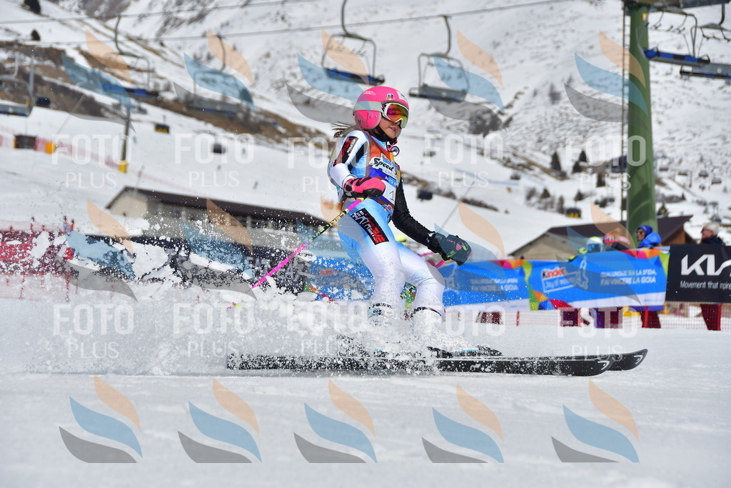 _DSC6774 | holidayphoto