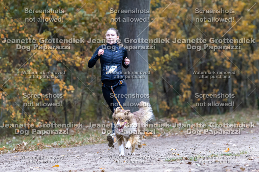 Dog Paparazzi - SD CaniX Championship 2025-552 | Dog Paparazzi Jeanette Grottendiek Fotografie & Videografie - Realisiert mit Pictrs.com