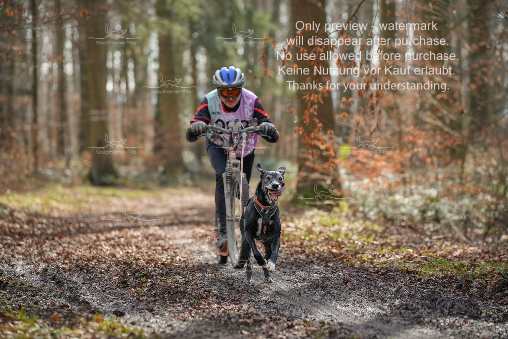 So_Scooter1-78 | stephaniefillaphotographie - Realisiert mit Pictrs.com