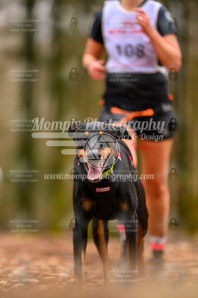 MompixPhotography_Habay2024_SA_Fun-31 | PayLife